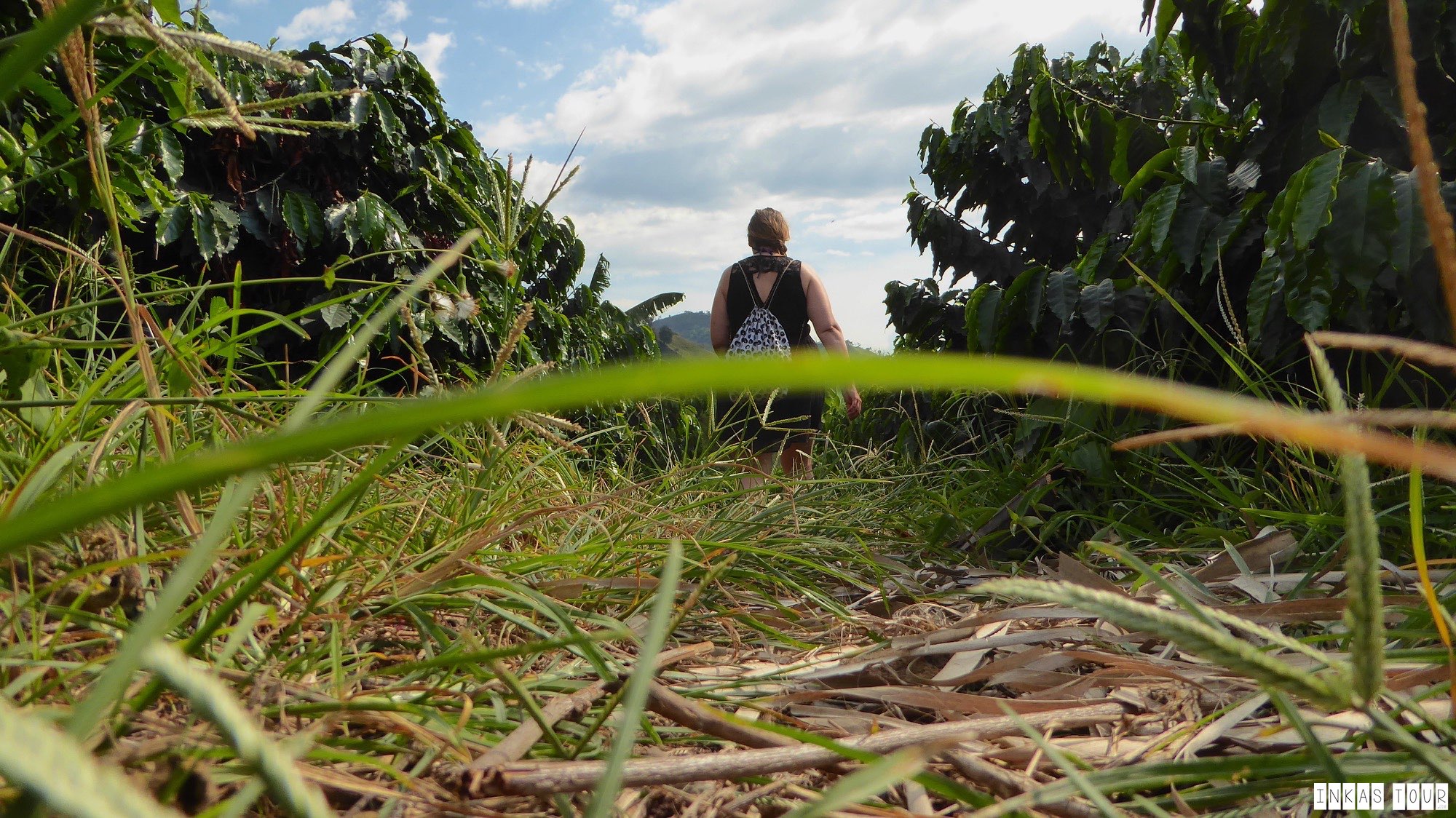 Inkas Tour How to stay at a Coffee Farm in Colombia