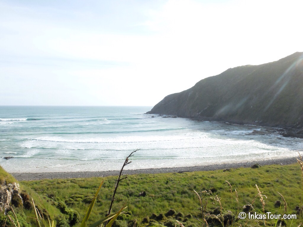 Inka Tour | The Catlins in New Zealand