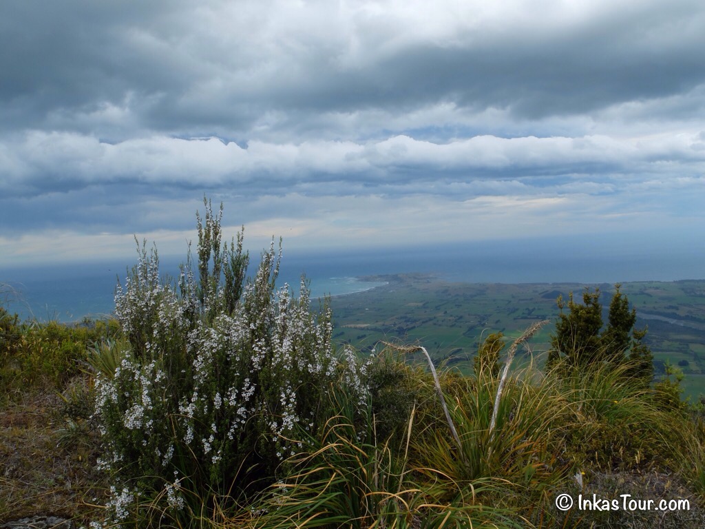 Kaikoura Peninsula