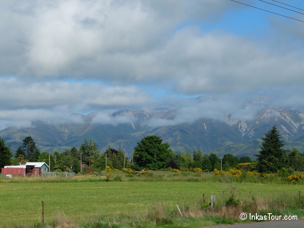 Tranz Alpine Train