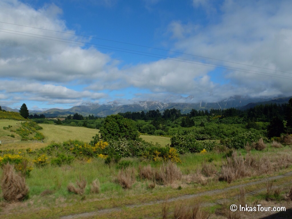 Tranz Alpine Train