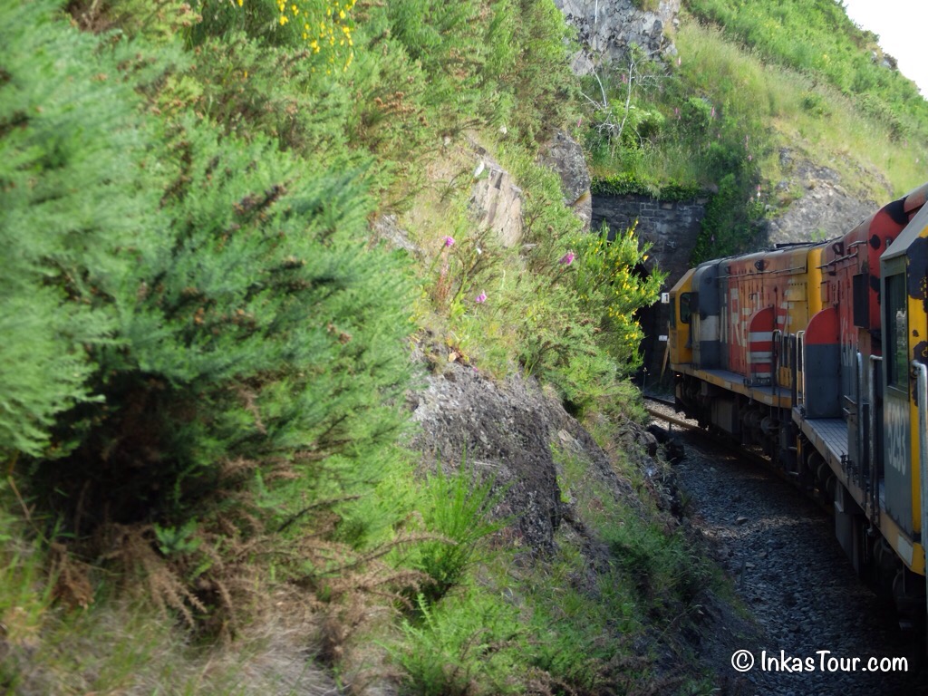 Tranz Alpine Train