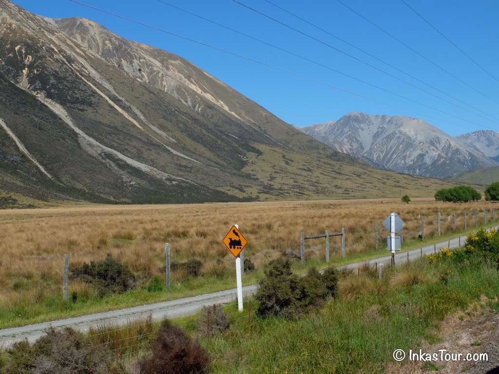 Tranz Alpine Train