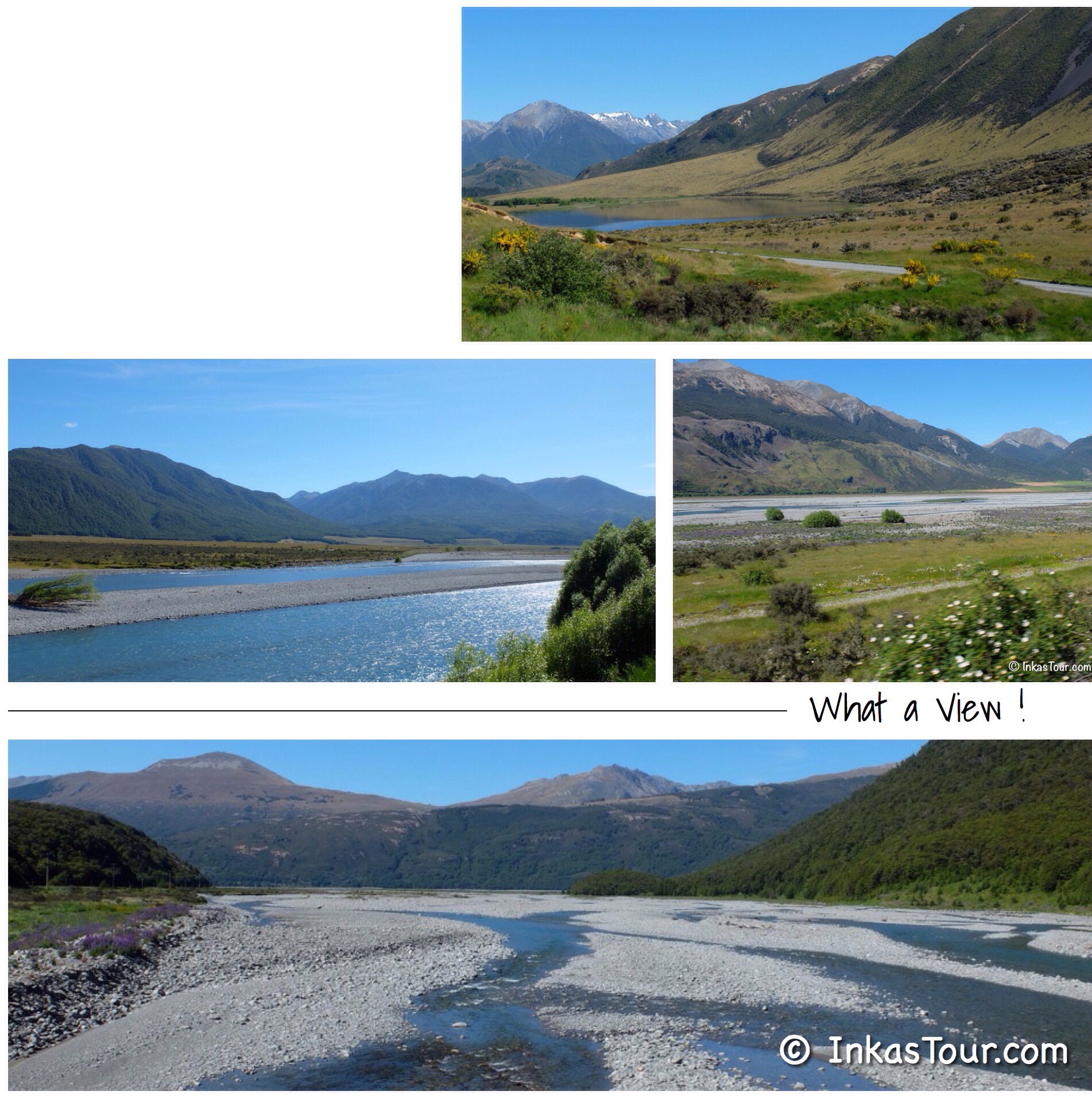 Tranz Alpine Train