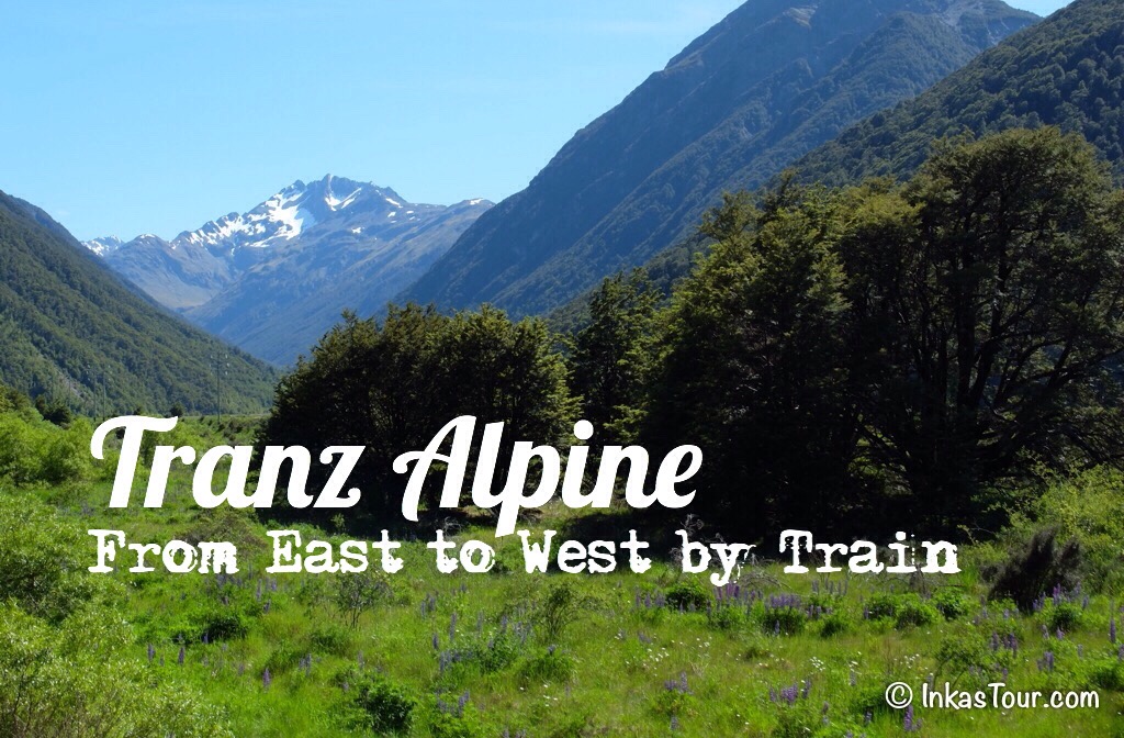 Tranz Alpine Train