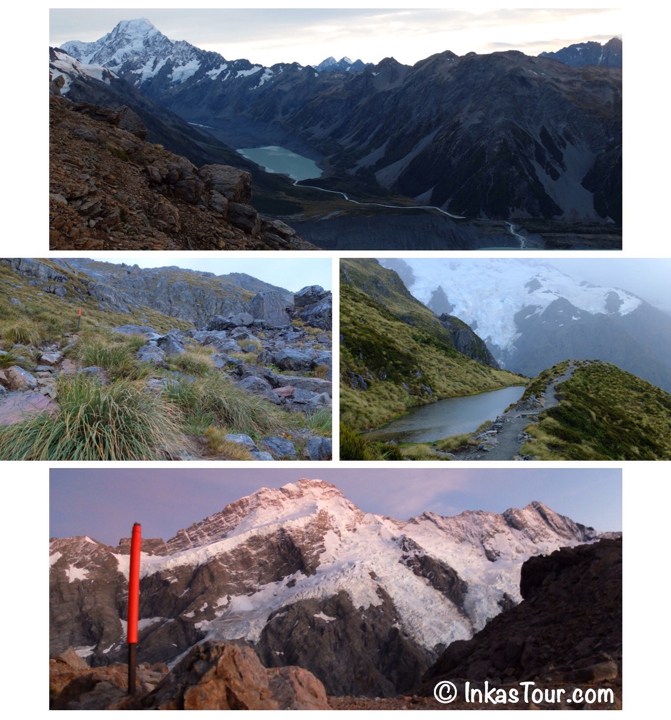 Mueller Hut Hike