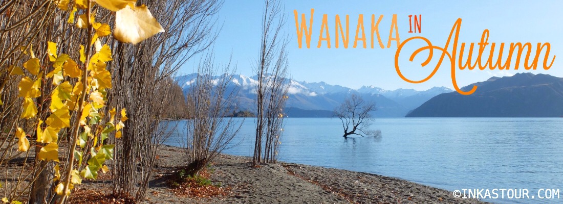 Autumn in Wanaka