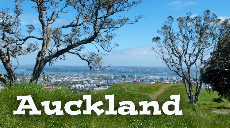 Auckland City View