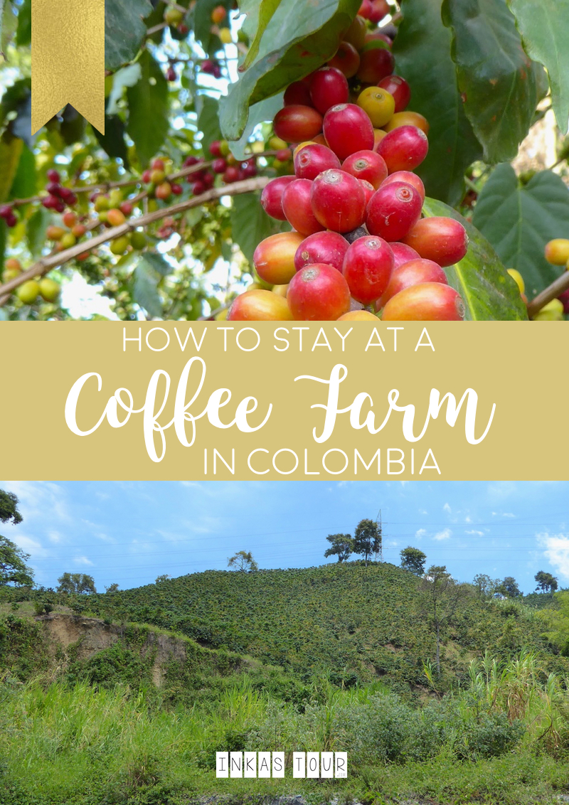 Inkas Tour How to stay at a Coffee Farm in Colombia