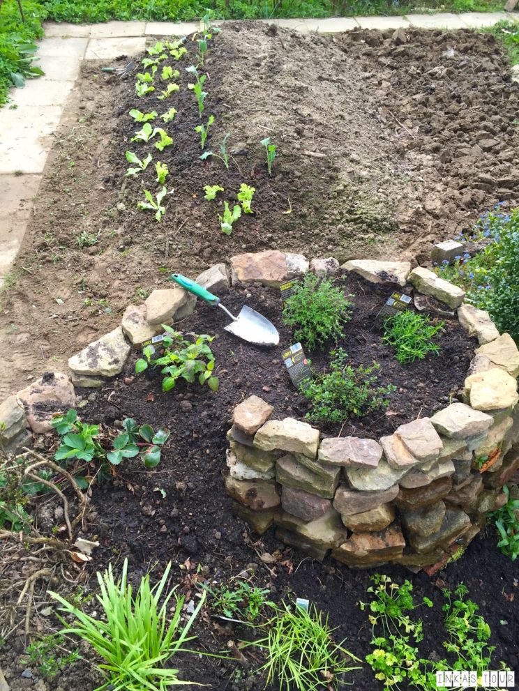 Spring_Flower_Garden_Walk_02