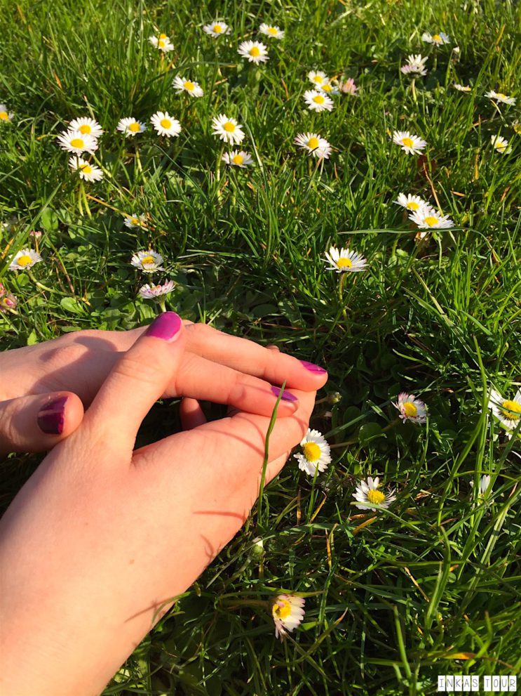 Spring_Flower_Garden_Walk_16