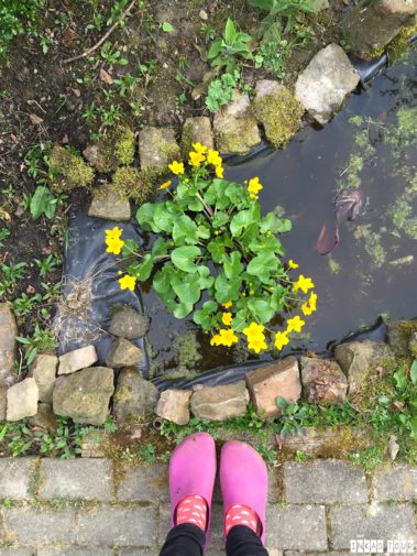 Spring_Flower_Garden_Walk_22