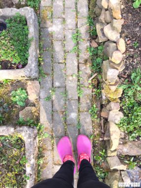 Spring_Flower_Garden_Walk_23