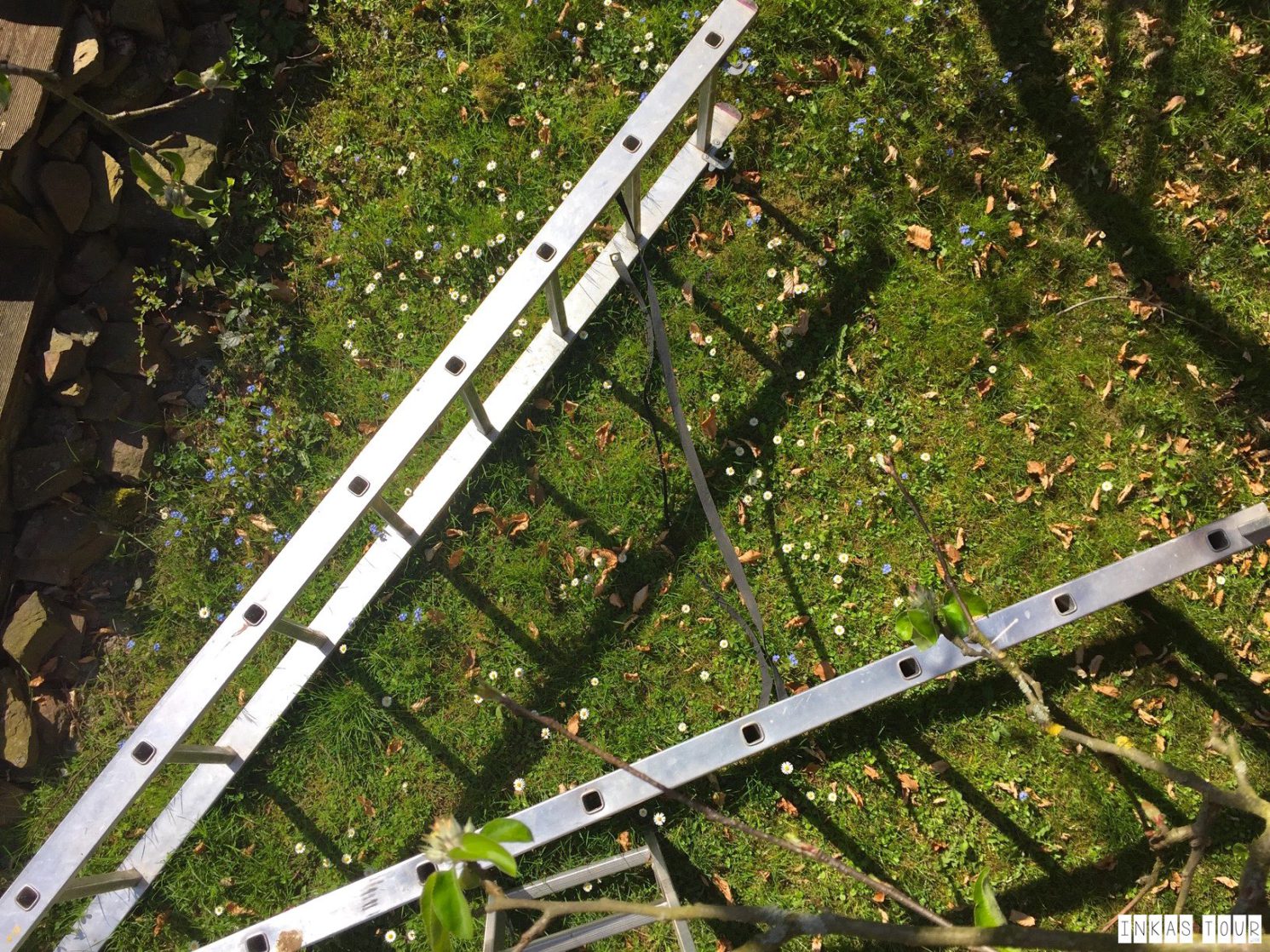 Spring_Flower_Garden_Walk_36