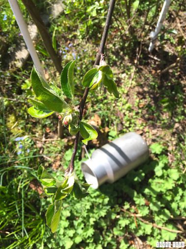 Spring_Flower_Garden_Walk_38