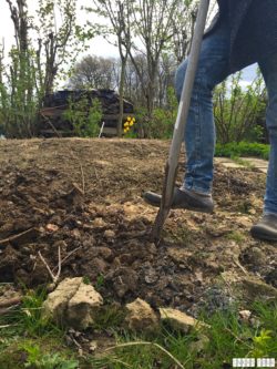 Spring_Flower_Garden_Walk_39