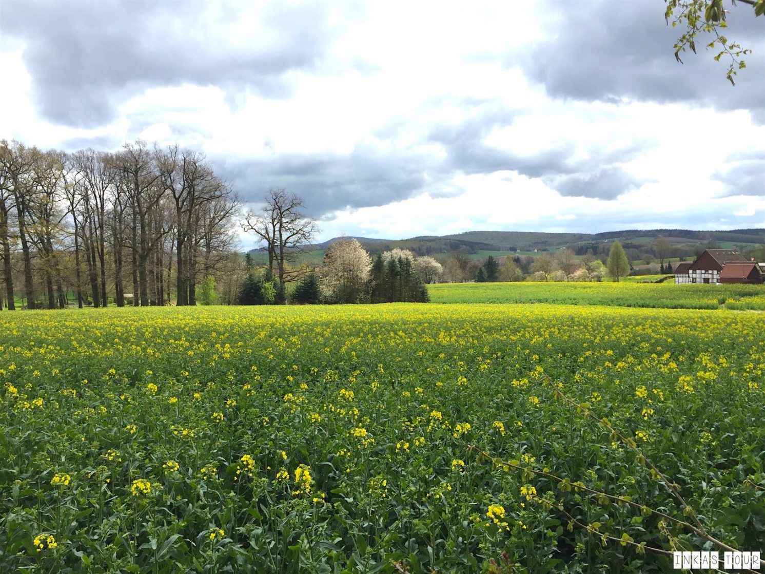 Spring_Flower_Garden_Walk_40