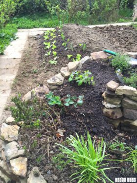 Spring_Flower_Garden_Walk_43