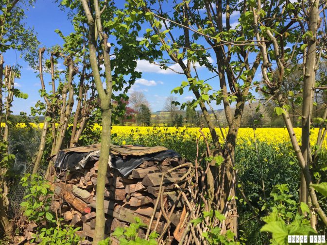 Spring_Flower_Garden_Walk_46