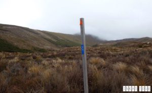 Tongariro Alpine Crossing New Zealand's #1 Day Hike