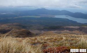 Tongariro Alpine Crossing New Zealand's #1 Day Hike