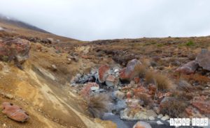 Tongariro Alpine Crossing New Zealand's #1 Day Hike