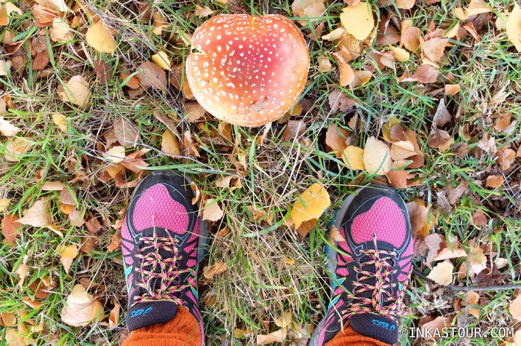 A Autumn Adventure in Wanaka, New Zealand – Inkas Tour