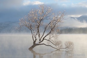 Lake Wanaka