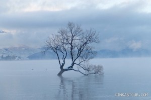 Lake Wanaka