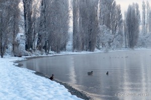 Lake Wanaka