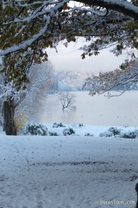 Lake Wanaka