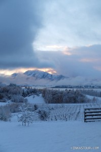 Lake Wanaka