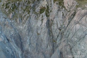 Tasman Glacier